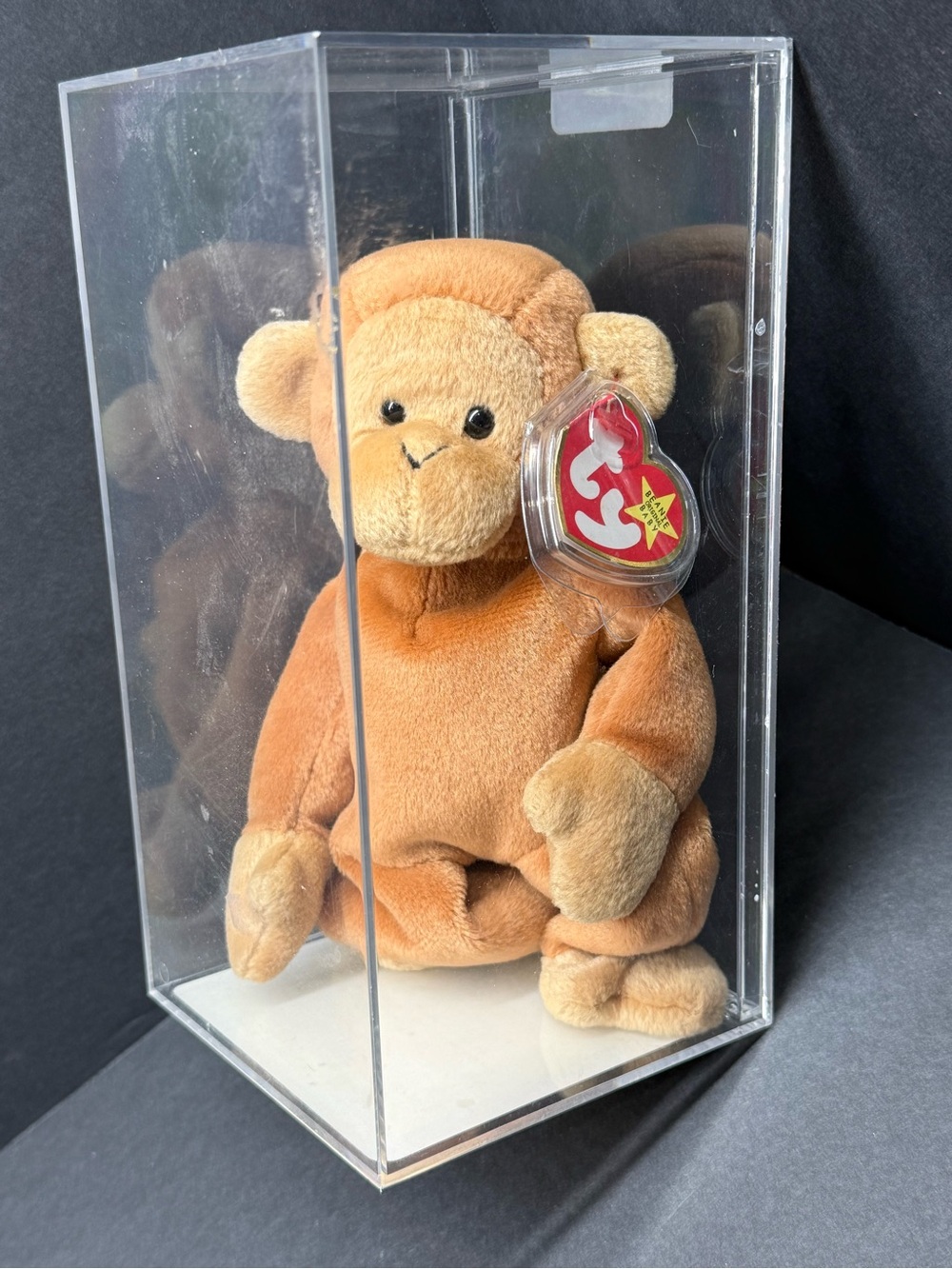 TY Beanie Baby Bongo-Tan Tail- Museum Quality